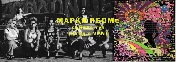 a pvp Алзамай
