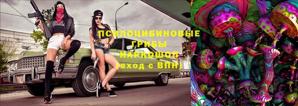 гидра Алексин