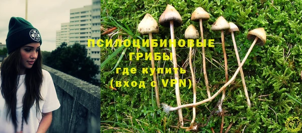 гидра Алексин