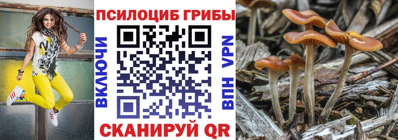 Псилоцибиновые грибы ЛСД  купить наркотики цена  мега   Карачев 
